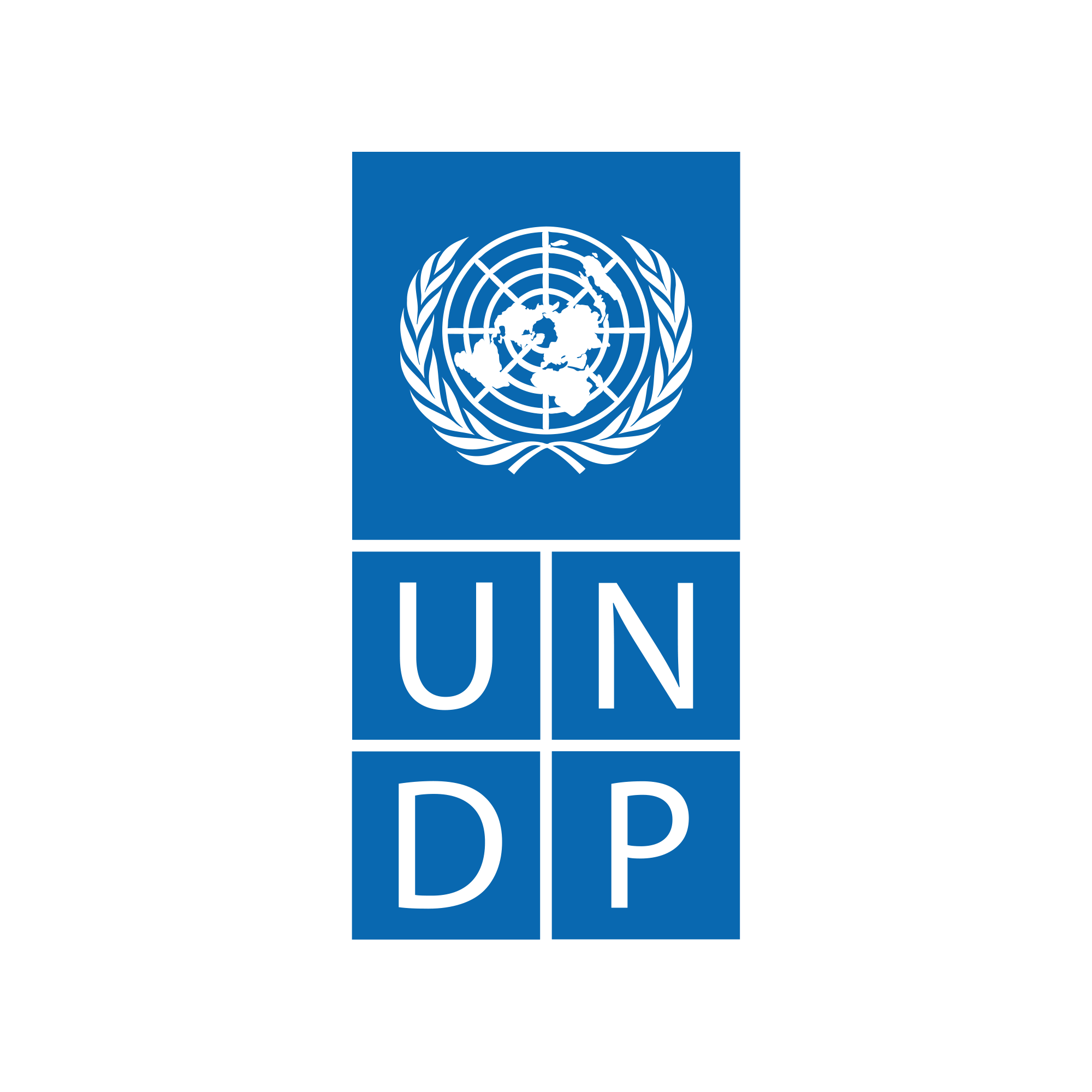 logo-square-UNDP